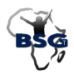 bsgt-logo